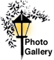 PhotoGal_over picture